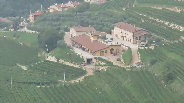 Vigneti della Valpolicella visti da San Giorgio di Valpolicella - Veneto